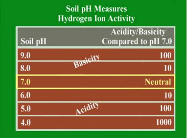 Ph Soil
