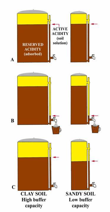 Figure 2: Coffee Pot Analogy for Buffer pH