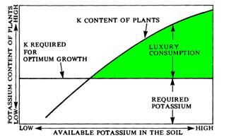 Alfalfa And Potassium